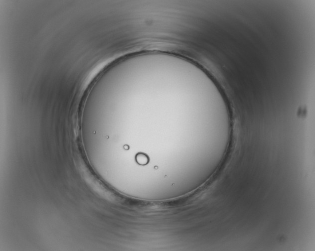 X0000113210891200909100944
