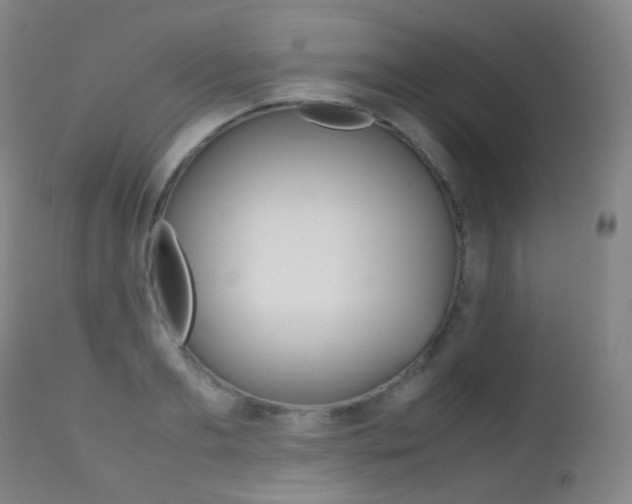 X0000113210893200909100943