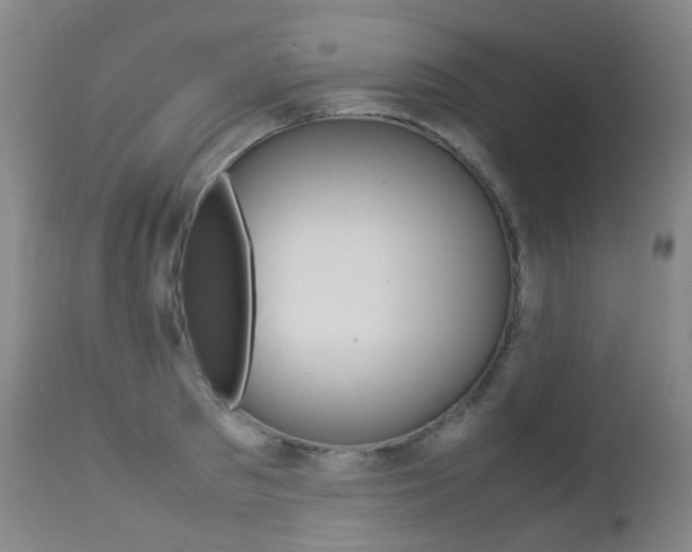 X0000113210897200909100943