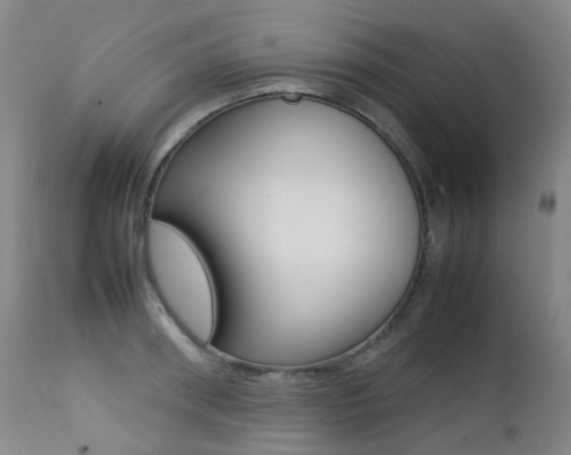 X0000113210898200909100943