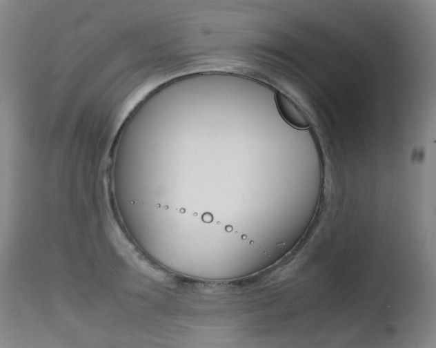 X0000113210899200909100943