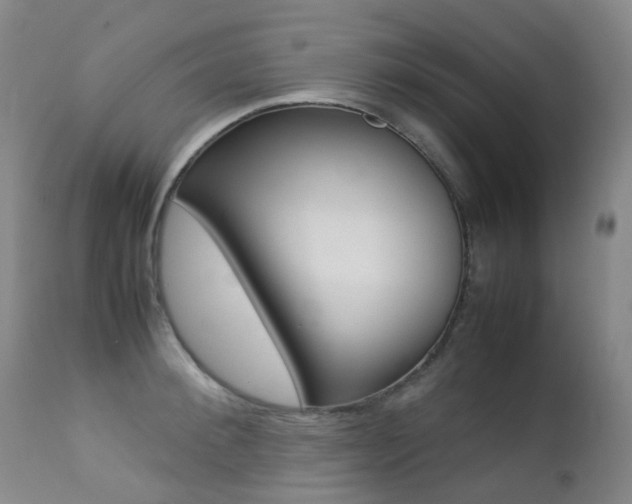 X0000113210900200909100943