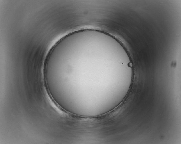 X0000113210902200909100943