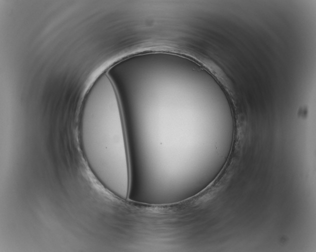 X0000113210904200909100943
