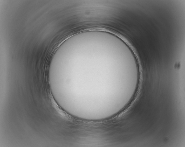 X0000113210905200909100943