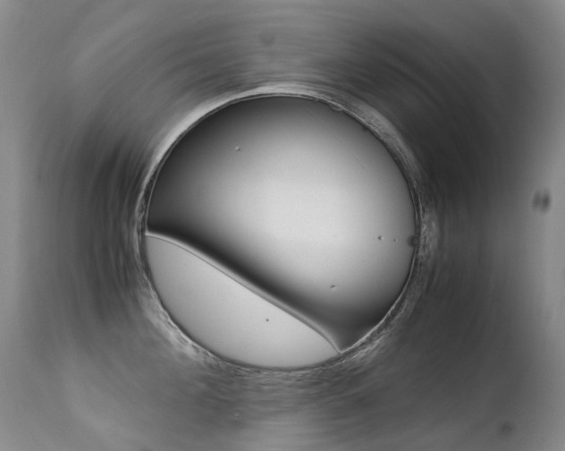 X0000113210908200909100943