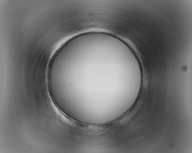 X0000113210910200909100943