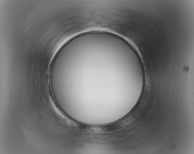 X0000113210911200909100943