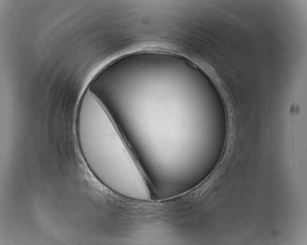 X0000113210912200909100943