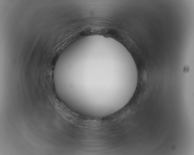 X0000113210914200909100942