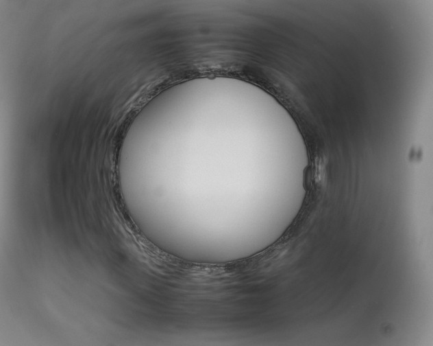 X0000113210915200909100942