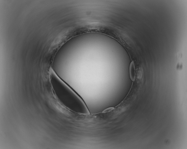 X0000113210916200909100942