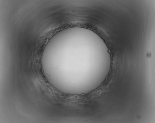 X0000113210917200909100942