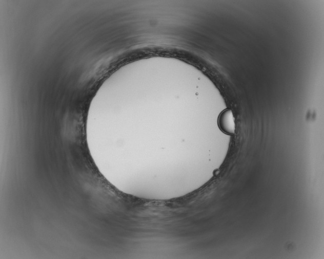 X0000113210918200909100942