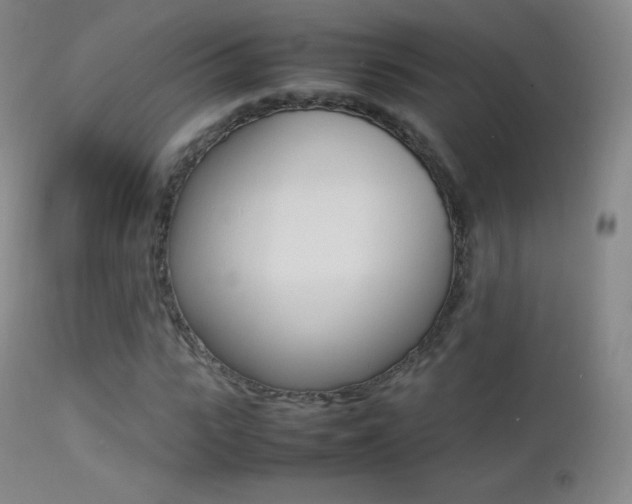 X0000113210919200909100942