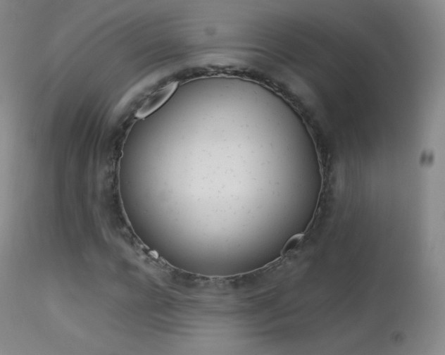 X0000113210920200909100942