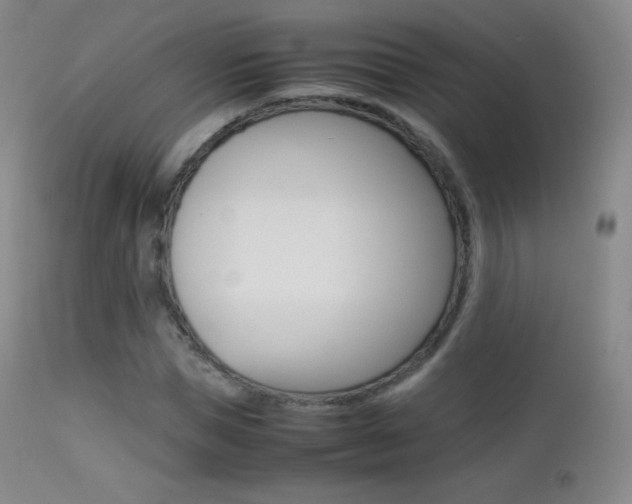 X0000113210921200909100942