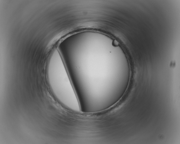 X0000113210922200909100943
