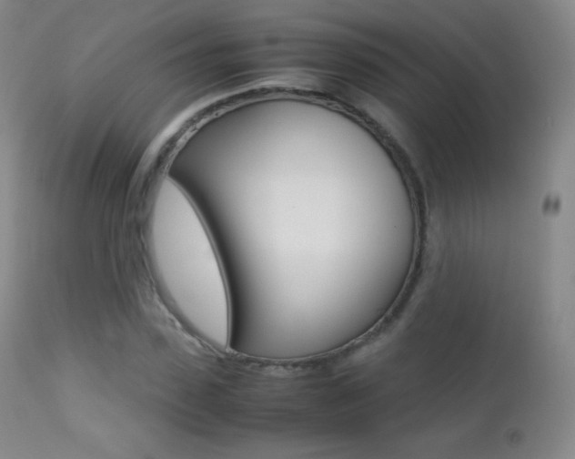 X0000113210923200909100943