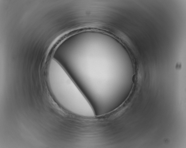 X0000113210924200909100943