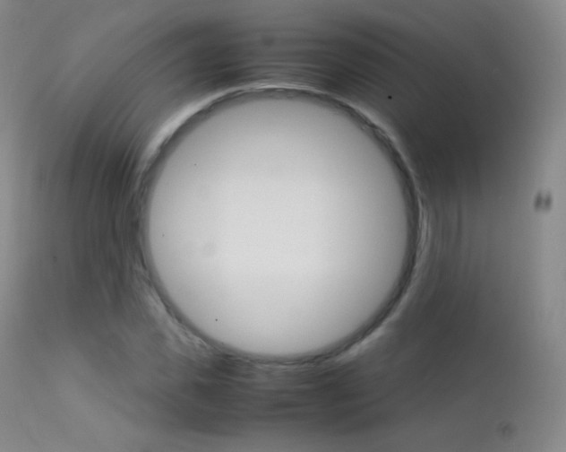X0000113210925200909100943