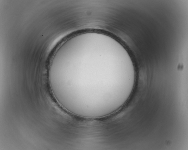 X0000113210926200909100943