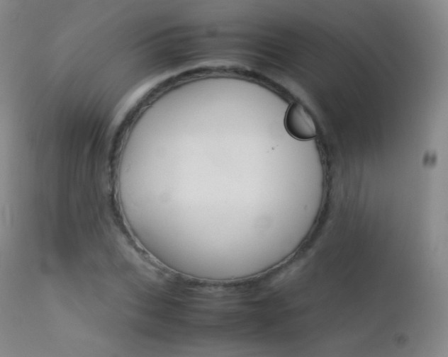 X0000113210927200909100943