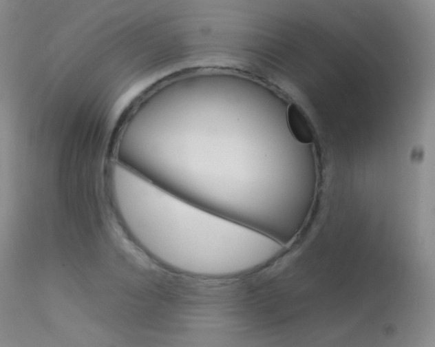 X0000113210928200909100943