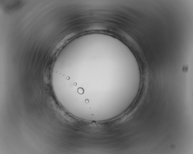 X0000113210929200909100943