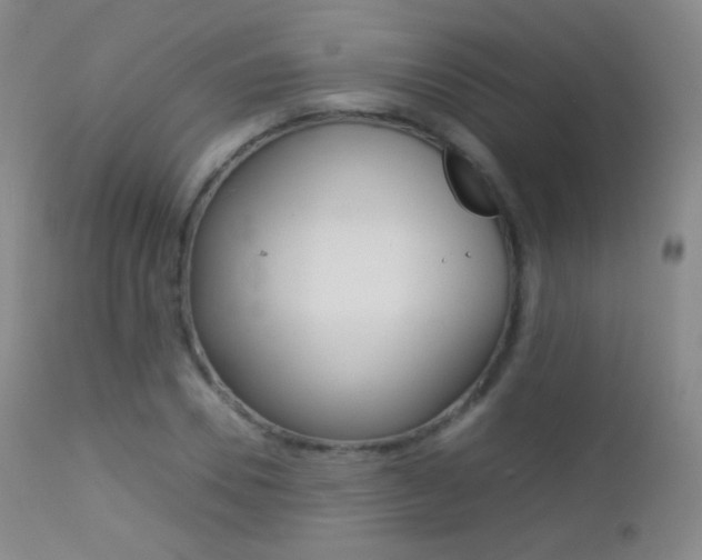 X0000113210930200909100943