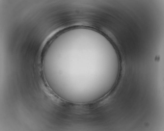 X0000113210931200909100943
