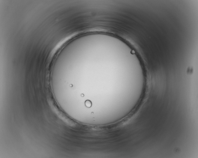 X0000113210933200909100943