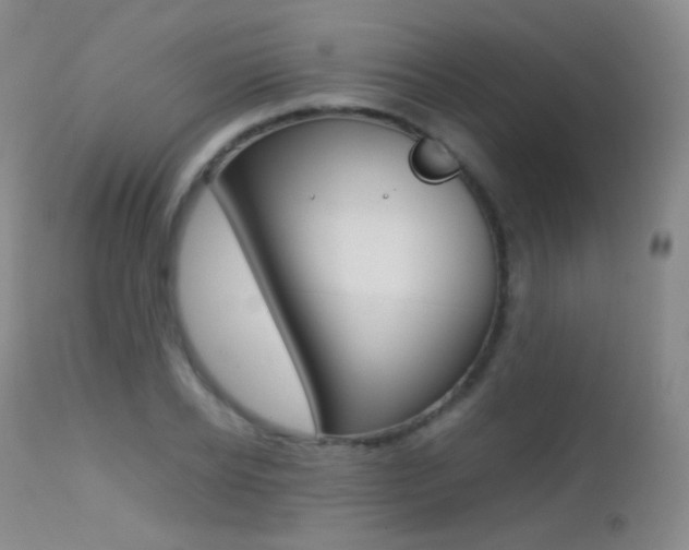 X0000113210934200909100943