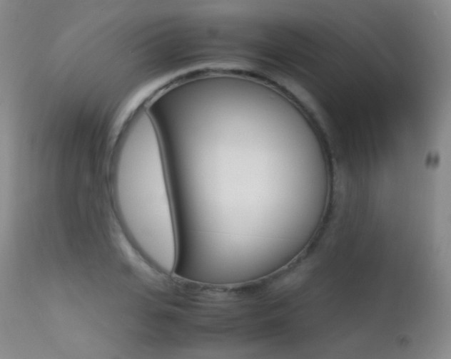 X0000113210935200909100943