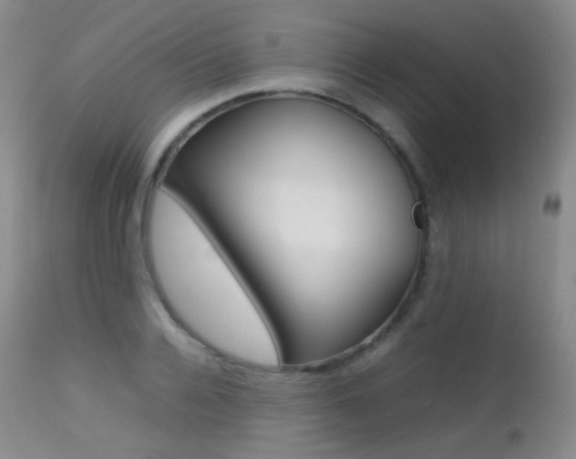 X0000113210936200909100943