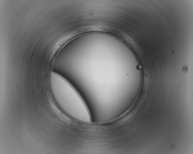 X0000113210938200909100943
