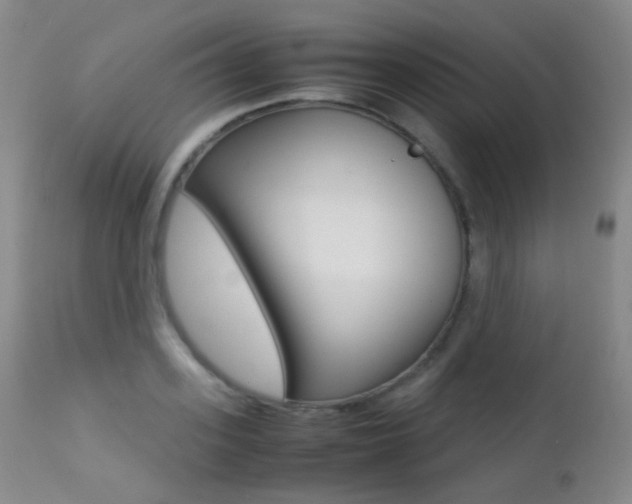 X0000113210939200909100943