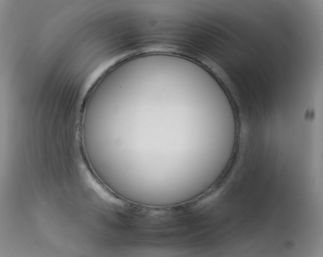 X0000113210941200909100943