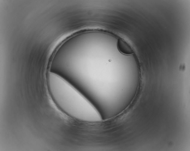 X0000113210943200909100943