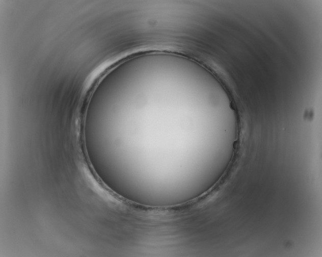 X0000113210944200909100943