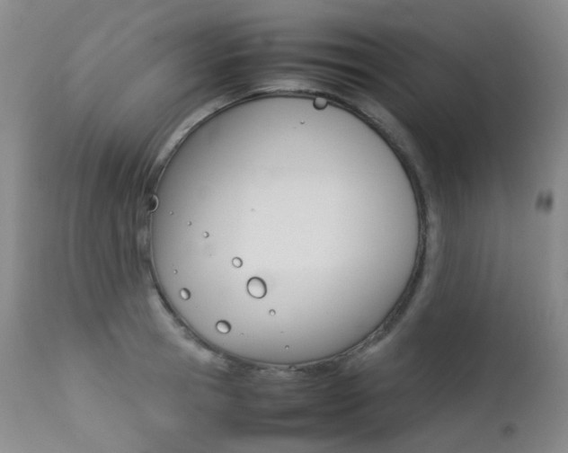 X0000113210945200909100943