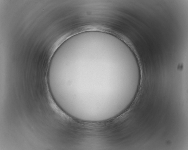 X0000113210946200909100943