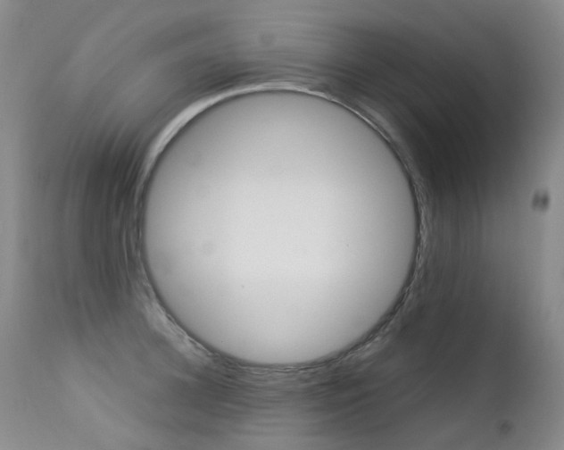 X0000113210948200909100943