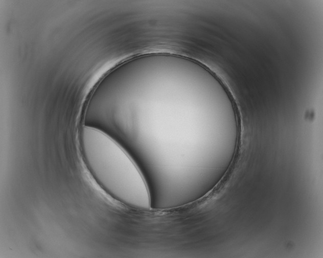 X0000113210949200909100943