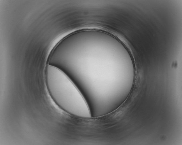 X0000113210951200909100943