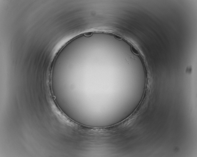 X0000113210952200909100943