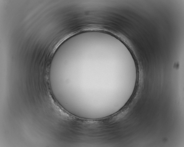 X0000113210953200909100943