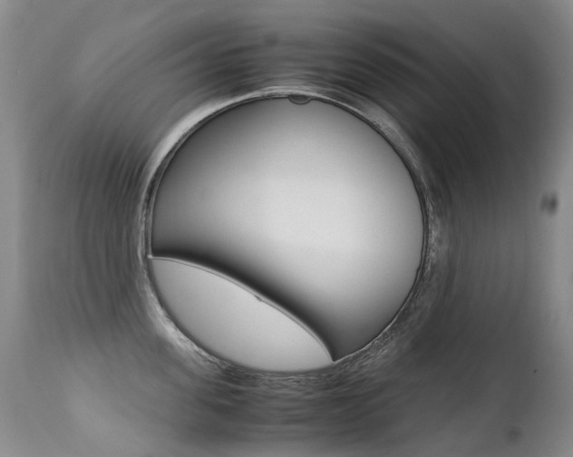X0000113210955200909100943