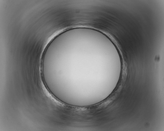 X0000113210957200909100943