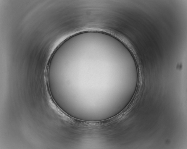 X0000113210958200909100943